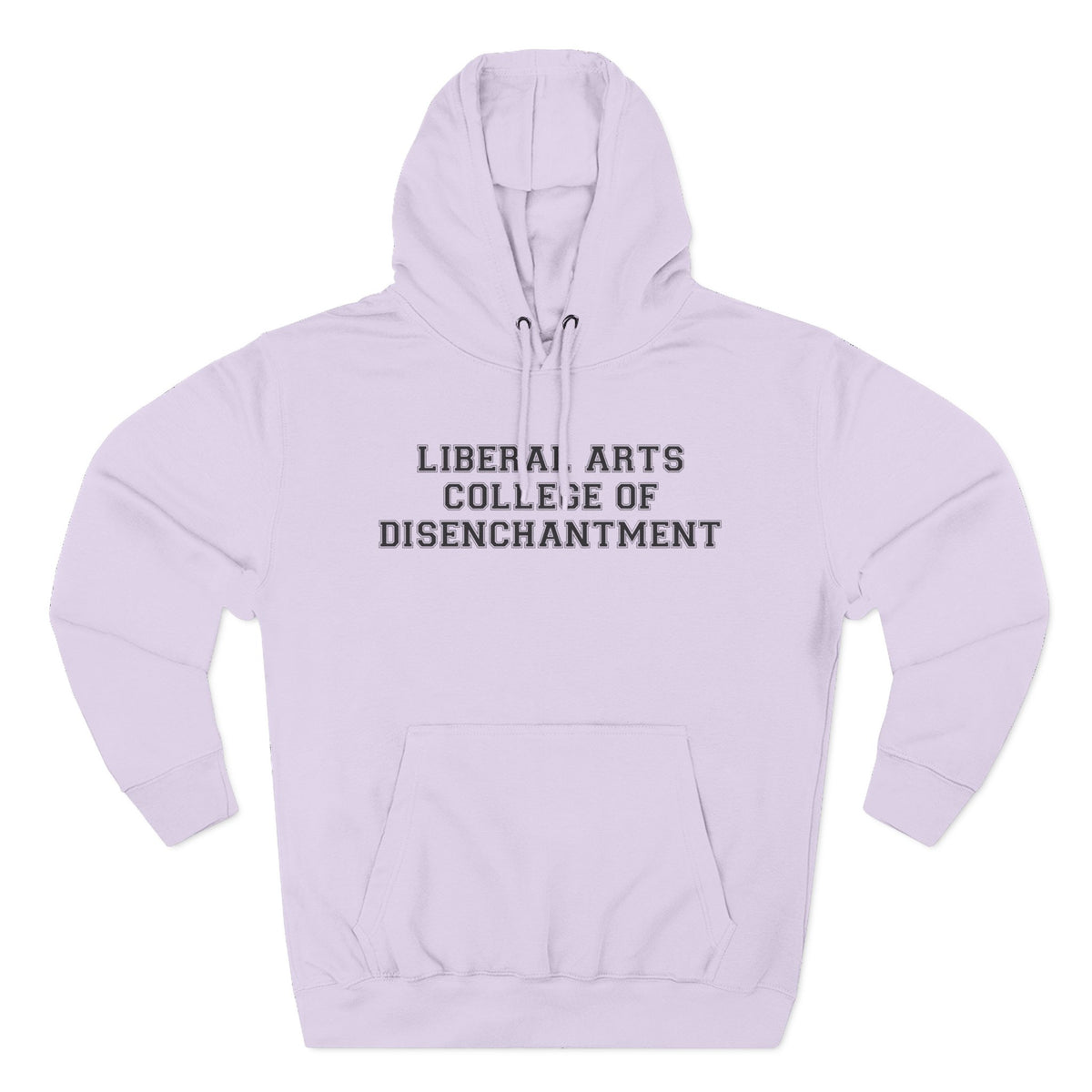 Liberal Arts College of Disenchantment Hoodie - Funny Minimalist Text Sweatshirt Gift