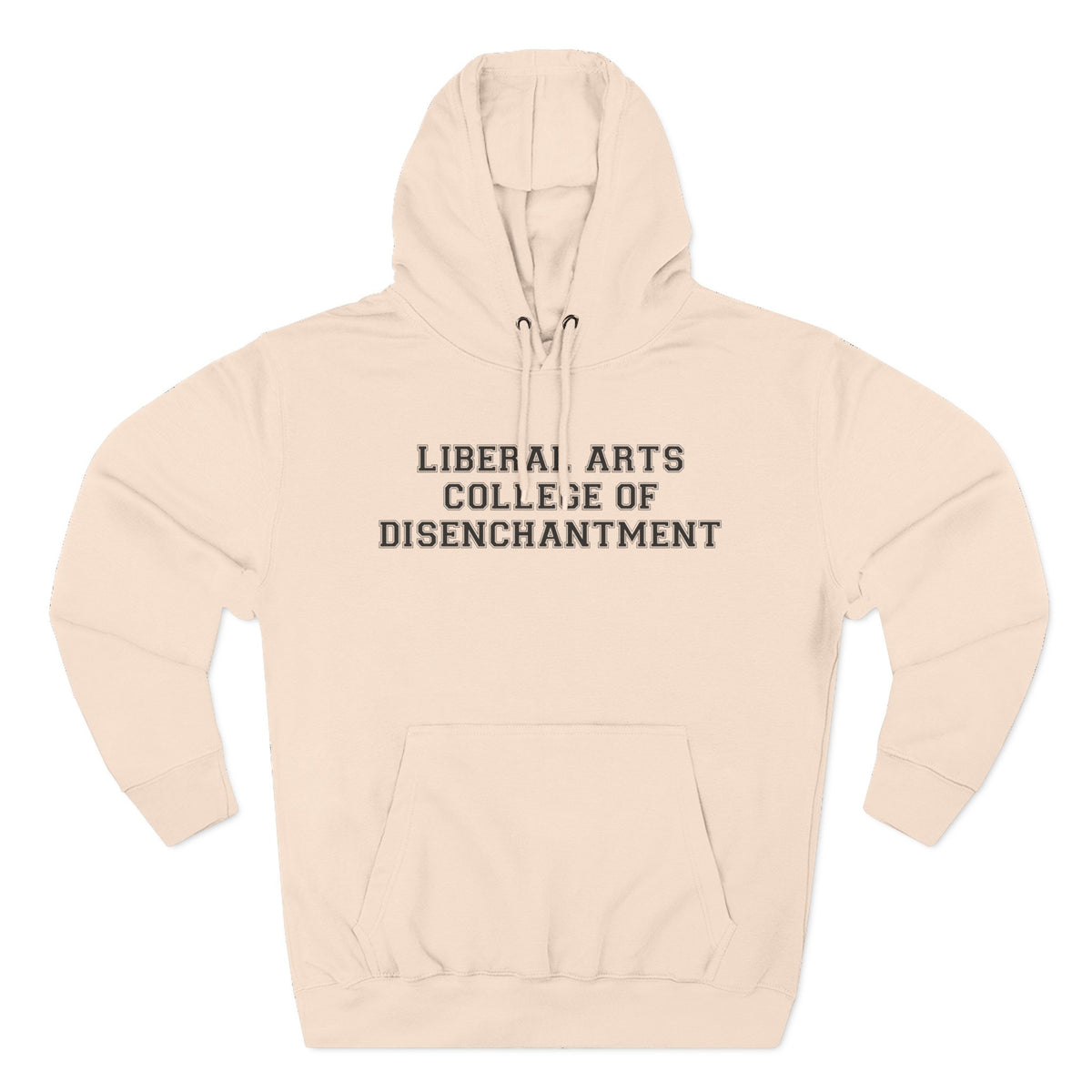 Liberal Arts College of Disenchantment Hoodie - Funny Minimalist Text Sweatshirt Gift